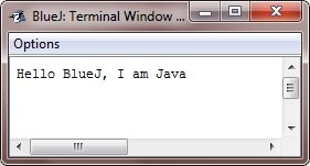 environment setup for java programming