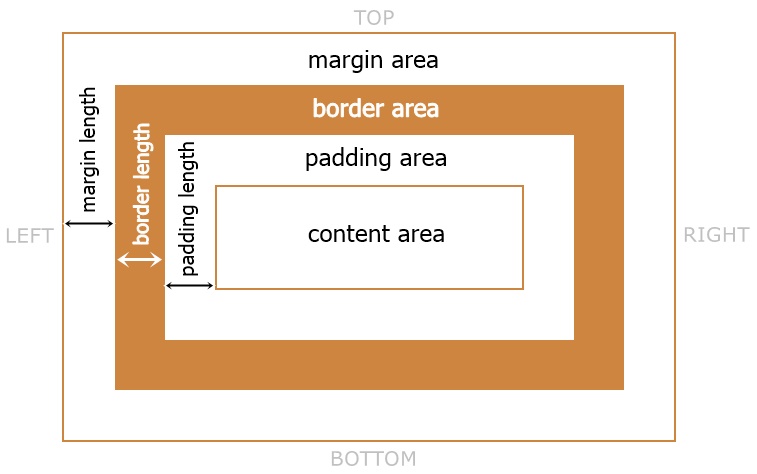 css padding vs margin